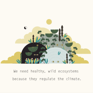 Cities Are Good by Danae Burmuzio
